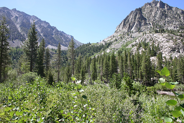 Lundy Canyon