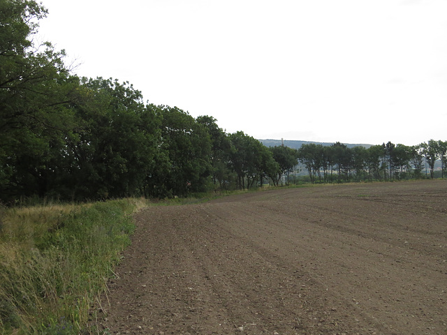 Carnuntum : camp légionnaire.