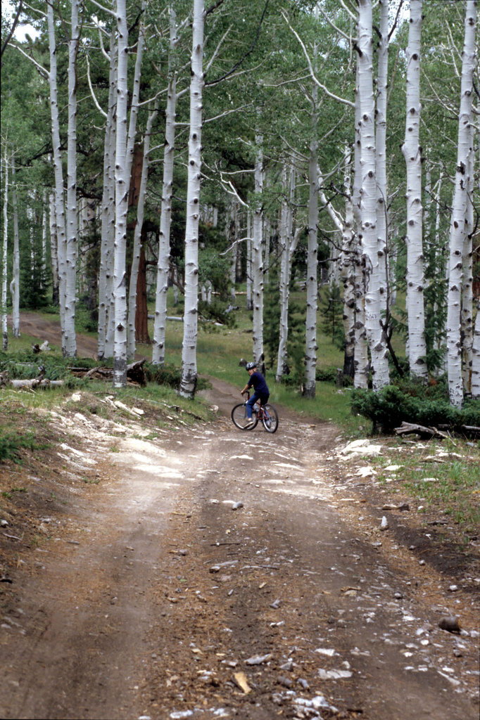 Mountain bike trail