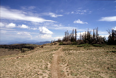 24-bike_trail_ig_adj 24-bike_trail_ig_adj