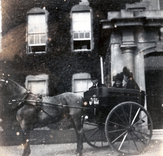 Pickering Forest House, County Kildare, Eire