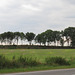 Bad Deutsch-Altenburg : vue sur le site du camp légionnaire.