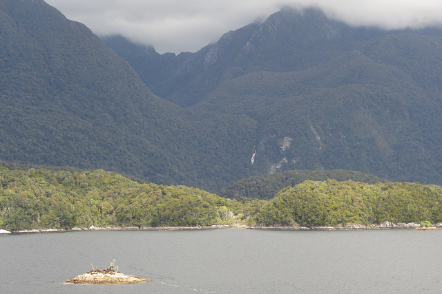 Fiordland National Park, New Zealand,  18 Jan 2012