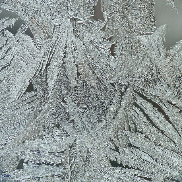 Jack Frost's been busy