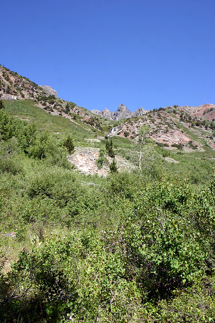 Lundy Canyon