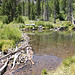 Beaver Pond, Lundy Canyon