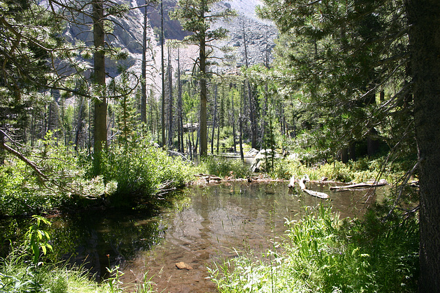 Beaver Pond, Lundy Canyon