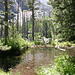 Beaver Pond, Lundy Canyon