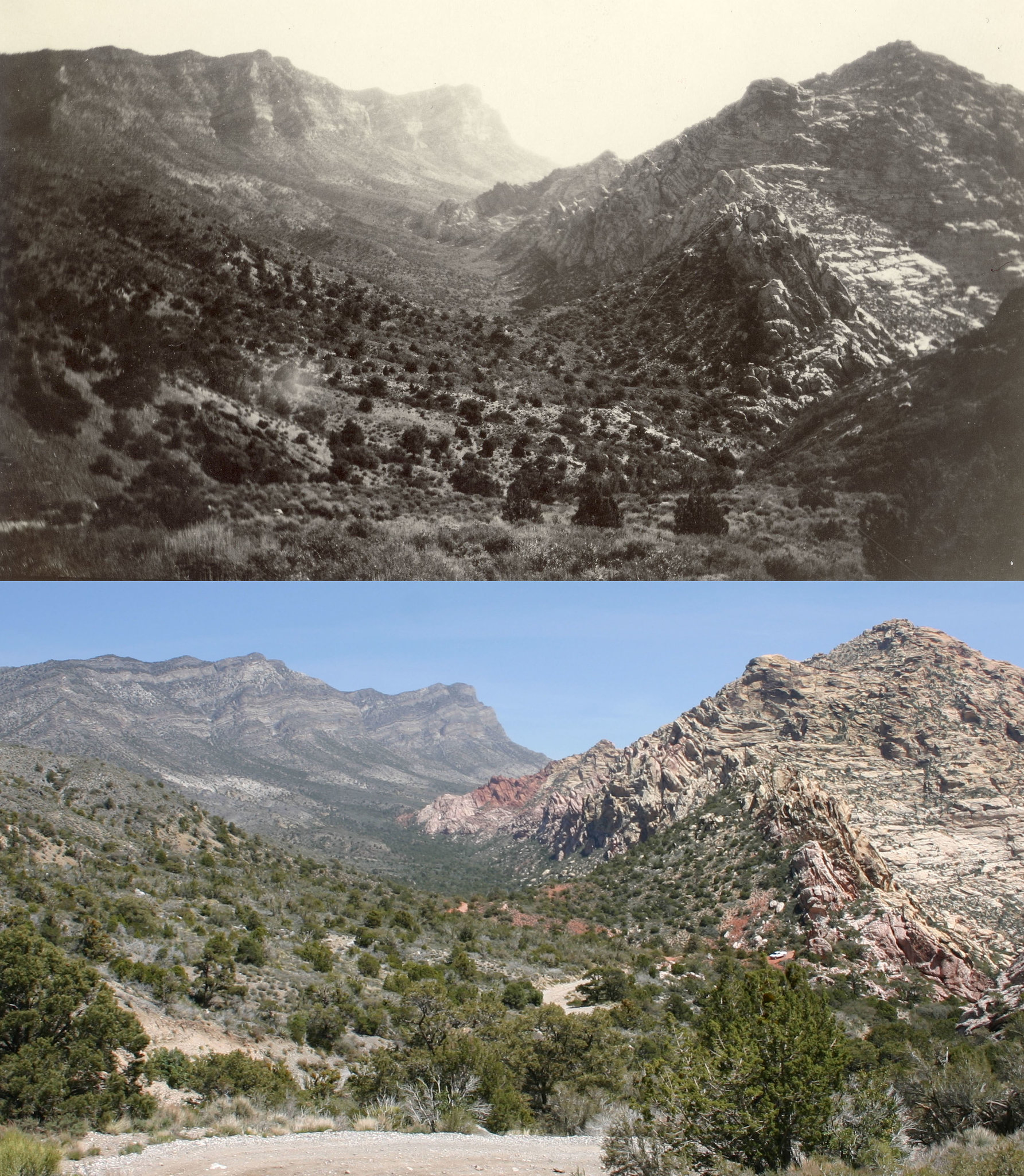 Red Rock Wash