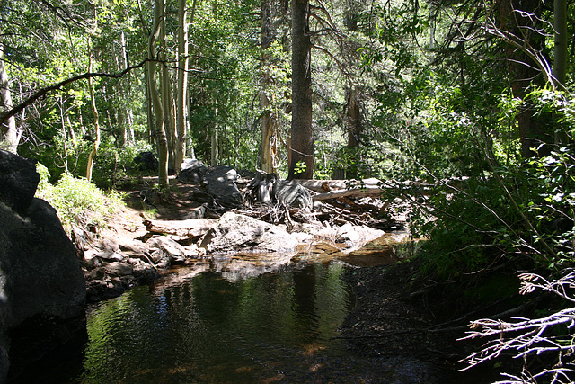 In Lundy Canyon