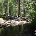 In Lundy Canyon