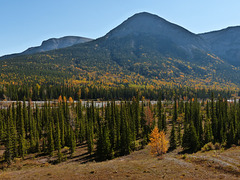 Remembering the beauty of fall