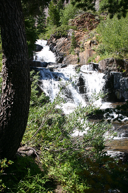 Mill Creek, Lundy Canyon