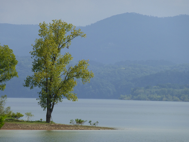 Douglas Lake