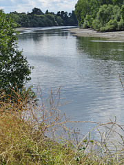 river thames , london