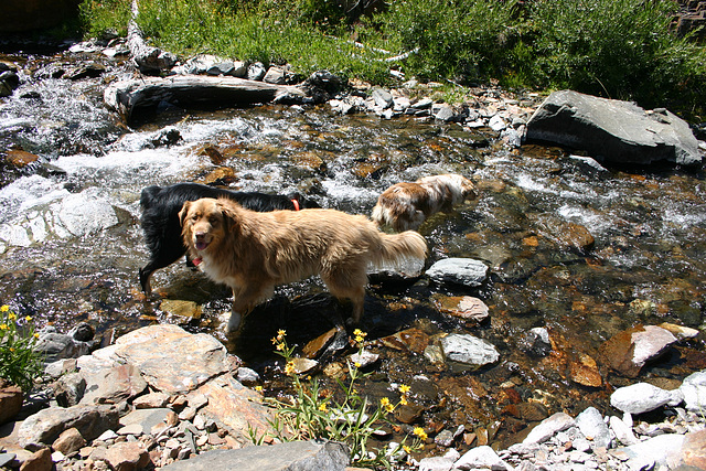 Mill Creek, Lundy Canyon