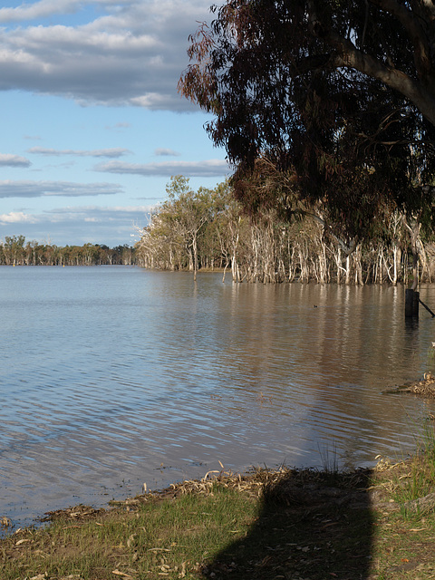 LakeBroadwater 072013 006