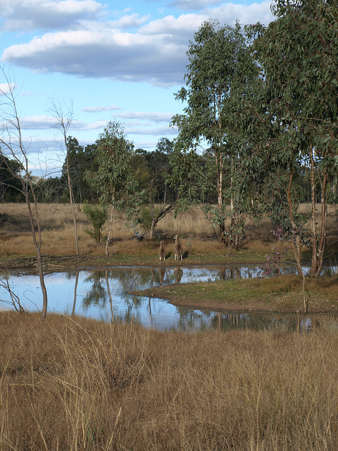 LakeBroadwater 072013 007