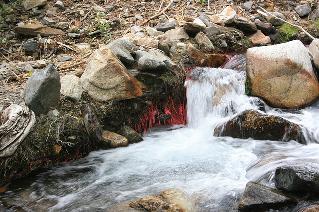 Gable Creek