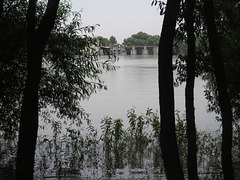 Le Danube au niveau d'Iža