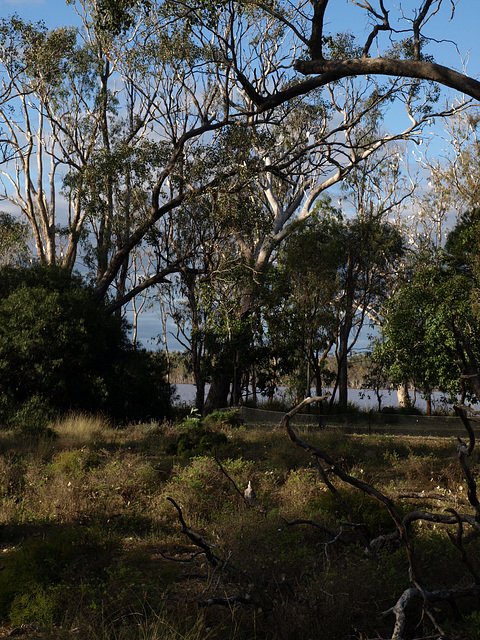 LakeBroadwater 072013 008