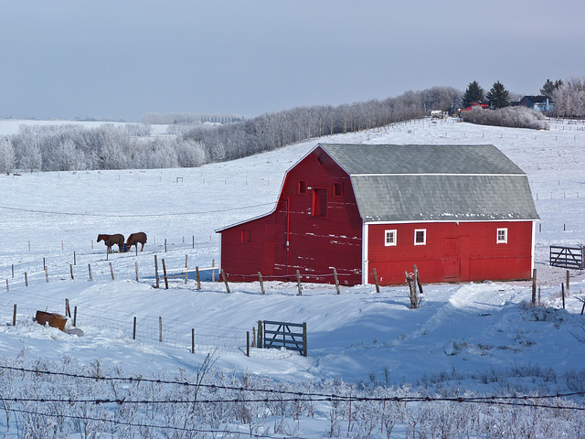 Nothing like a red barn in winter