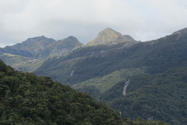 Fiordland National Park, New Zealand,  18 Jan 2012