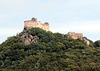 Burgruine Aggstein