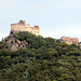 Burgruine Aggstein
