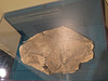 Aquincum : tablette de malédiction en bronze.