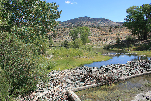 Carson River