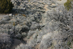 IMG_3714