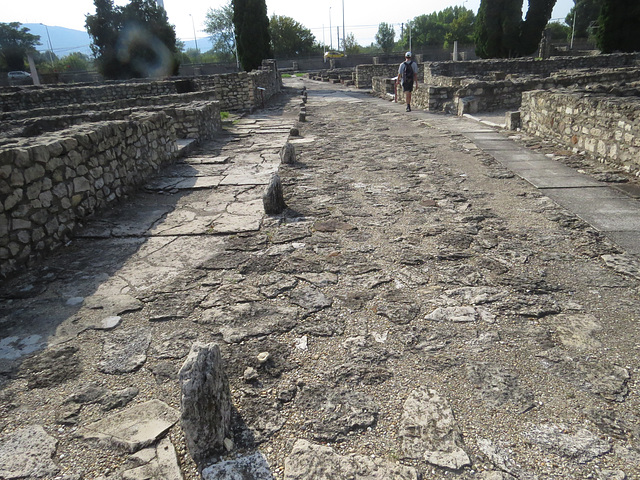 Aquincum, agglomération civile : le decumanus.