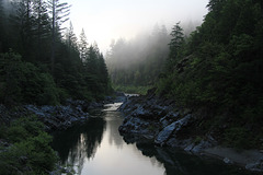 Early Morning, Smith River, California