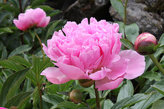 IMG 7647 IMG 7647