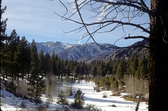 09-cyn_near_bridgeport_ig_adj