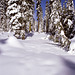 24-snowy_trail_adj2