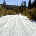 23-trail_view_adj