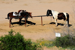 Postreiterstation (Arizona)