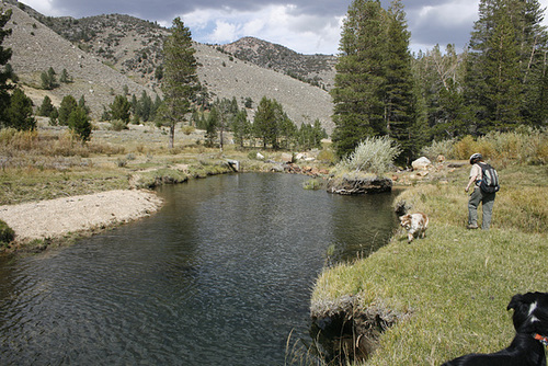 Buckeye Creek