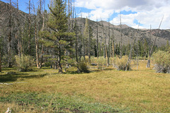 IMG_1009