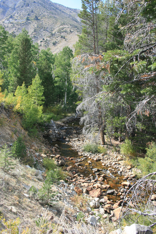Buckeye Creek