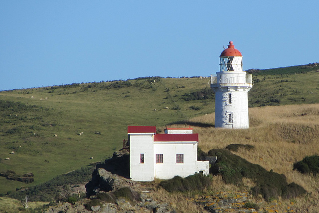 Dunedin, NZ, 19 Jan 2012