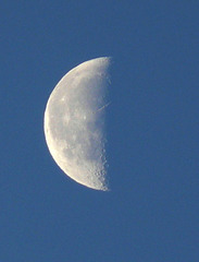 A quick moon shot