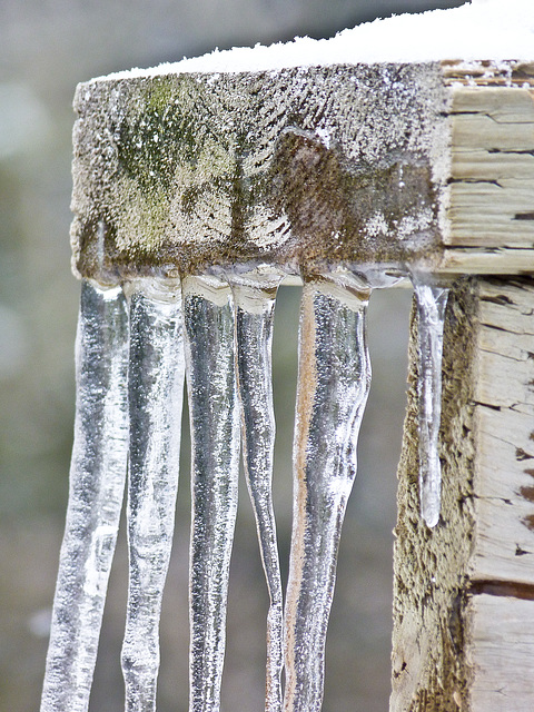 Winter is still hanging around