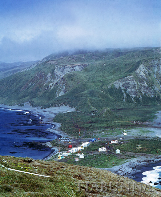 Macquarie Island station from North Head