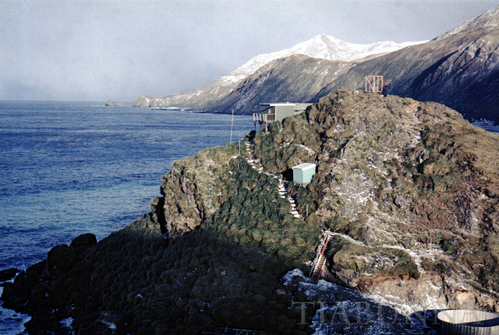 Macquarie Island 1968: Past Auroral Hill and down the east coast.