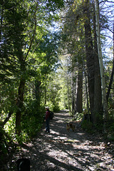 Above Fallen Leaf Lake