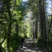 Above Fallen Leaf Lake