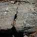 Glacial striations